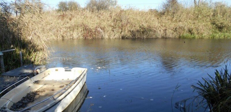 Vízparti kikapcsolódás a Molnár-szigeten