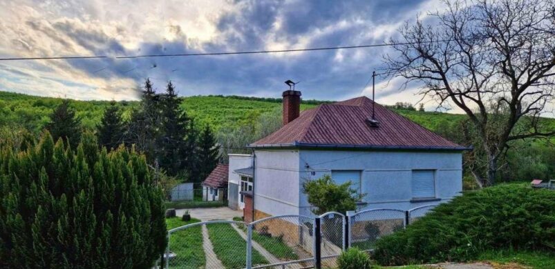 Leljen otthonra egy zsákfaluban