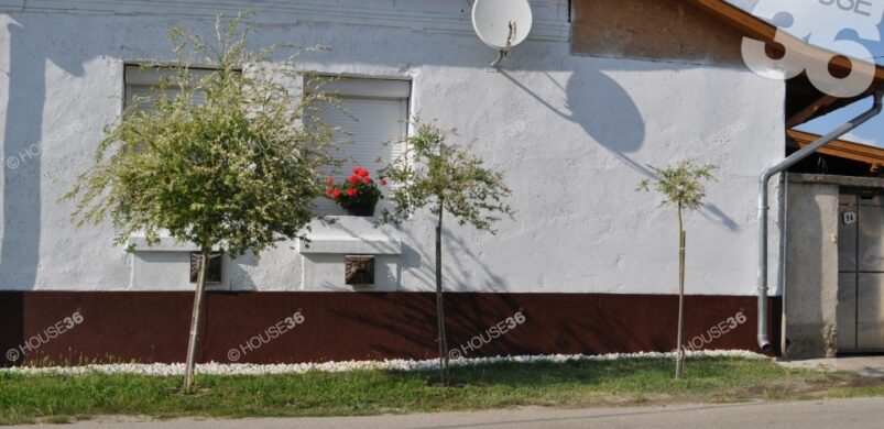 Költözzön egy csodás Tisza-parti városba!