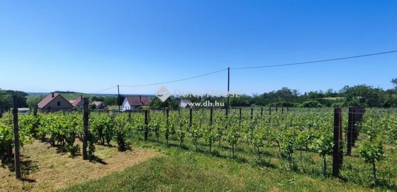 Nyugalom, panoráma és egy mini ház Siklóson