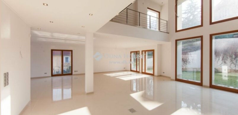 Hatalmas ház Budapesten, luxuspártiaknak!