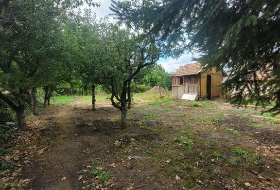 Gazdálkodna? Költözzön Mezőhegyesre!