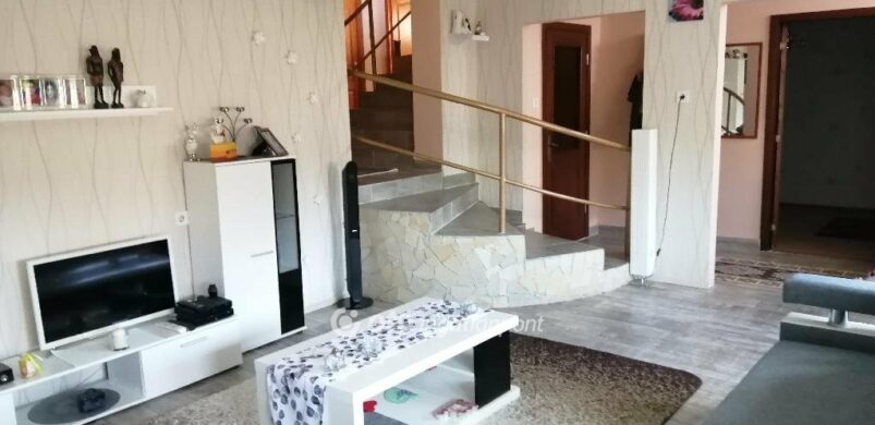 Elkelne egy borospince a ház alatt? Költözzön Gyöngyöshalászra