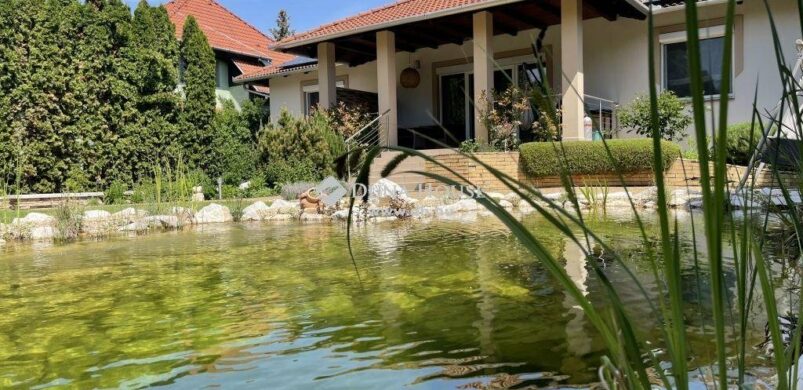 Lakjon egy igazi oázisban, Százhalombattán